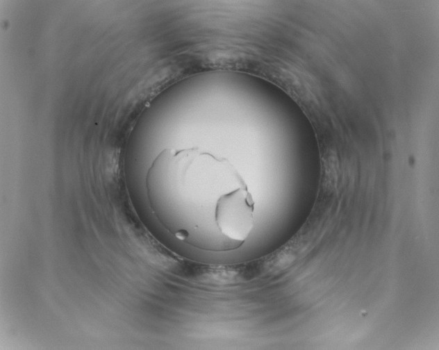 X0000088610278200706081442