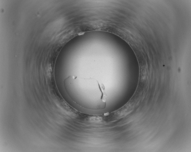 X0000088610279200706081442