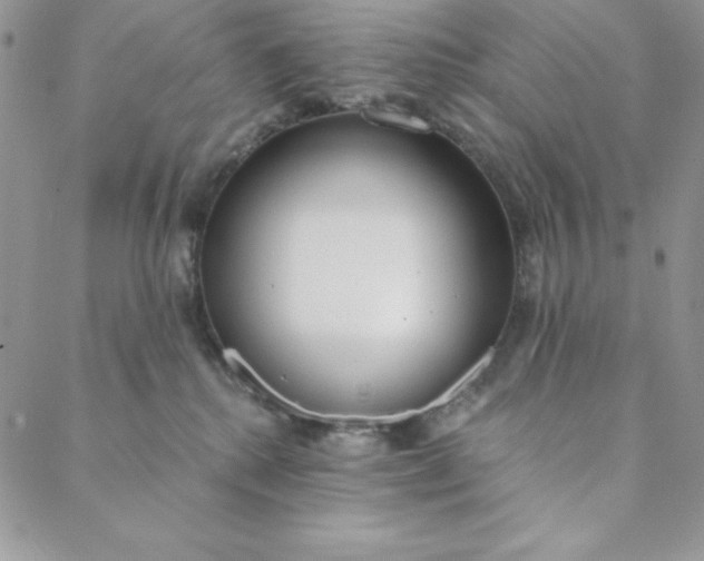 X0000088610280200706081442