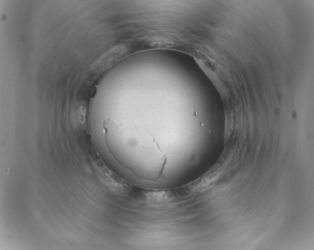 X0000088610281200706081442