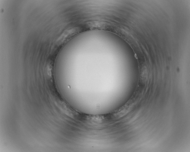 X0000088610282200706081442