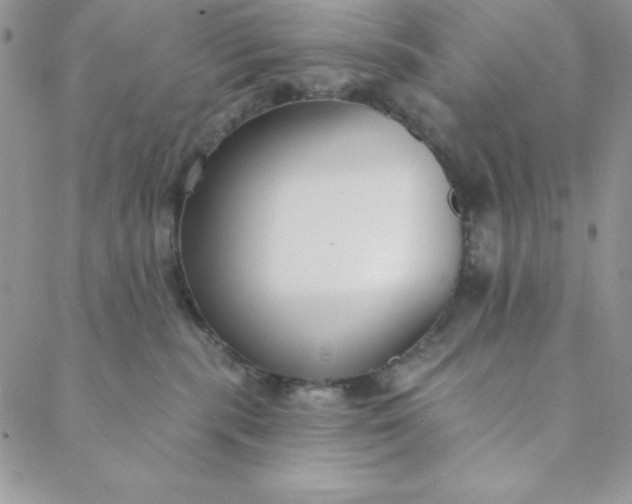 X0000088610283200706081442