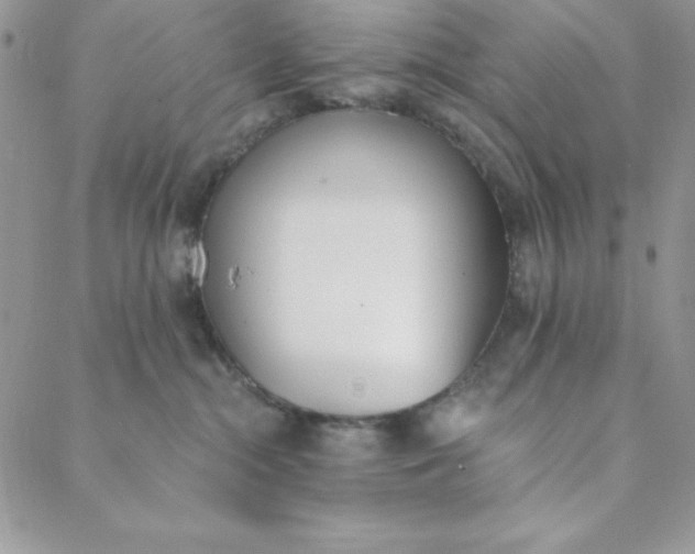 X0000088610284200706081442