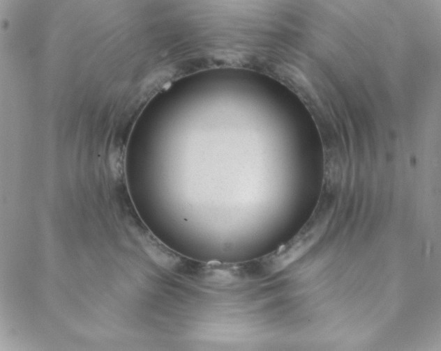 X0000088610285200706081442