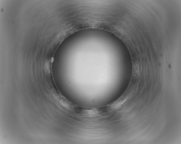 X0000088610286200706081442