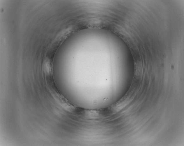 X0000088610287200706081442