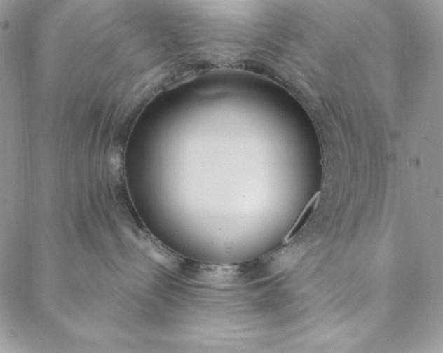 X0000088610288200706081442