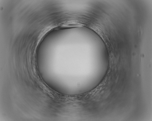 X0000088610289200706081441