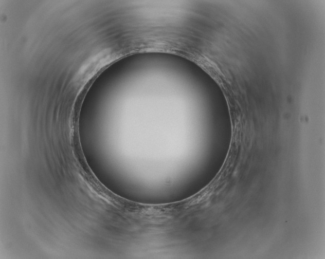 X0000088610290200706081441