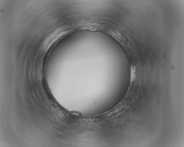 X0000088610291200706081441