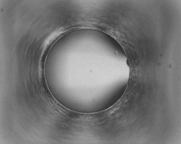 X0000088610294200706081441