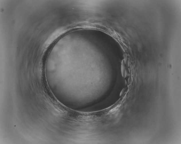 X0000088610295200706081441