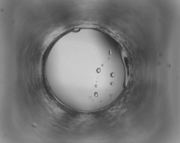 X0000088610296200706081441