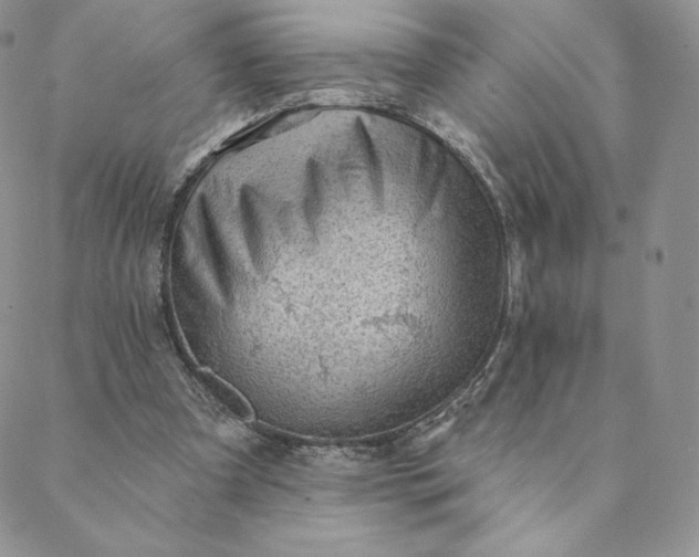 X0000088610297200706081441