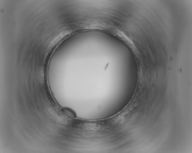 X0000088610298200706081441