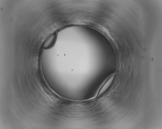 X0000088610299200706081441