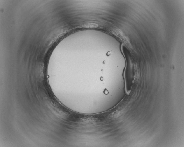 X0000088610300200706081441