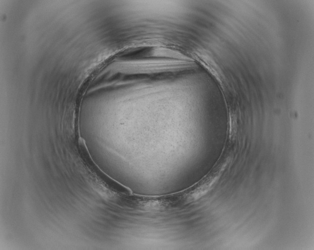 X0000088610301200706081441