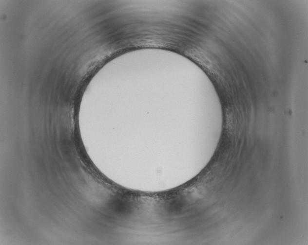 X0000088610302200706081441