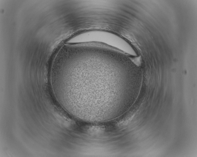 X0000088610303200706081441