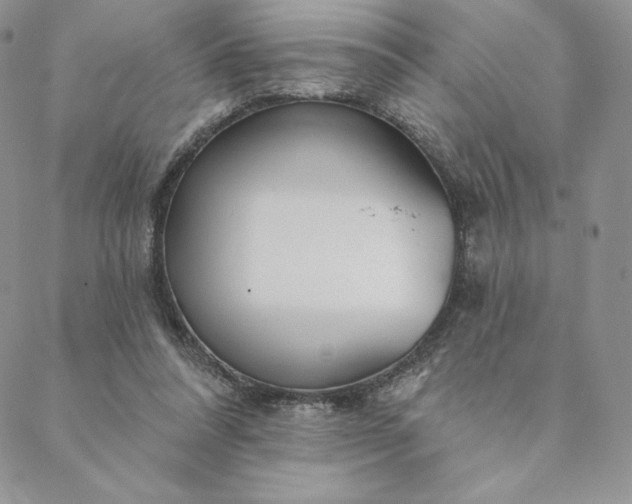 X0000088610304200706081441