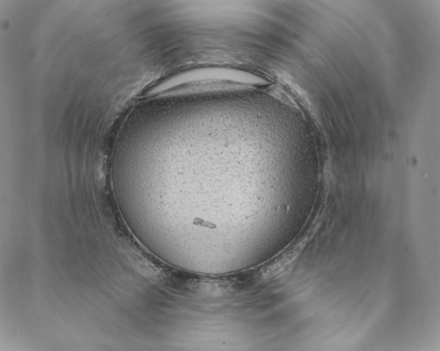 X0000088610305200706081441