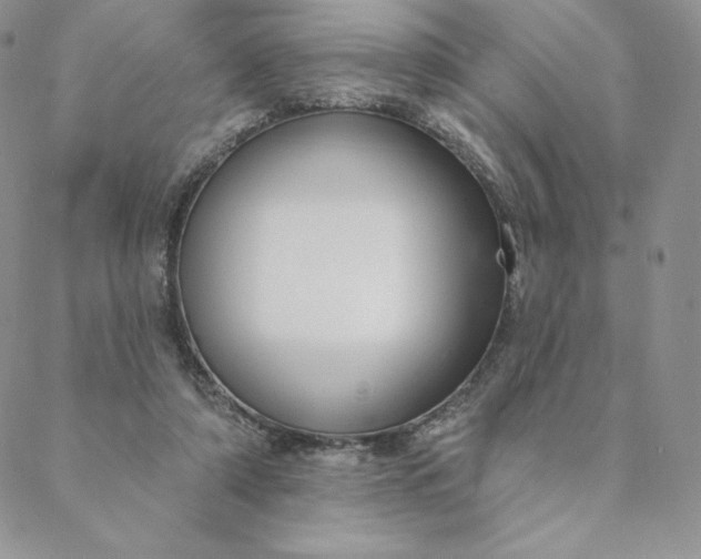 X0000088610306200706081441