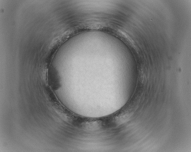 X0000088610307200706081441