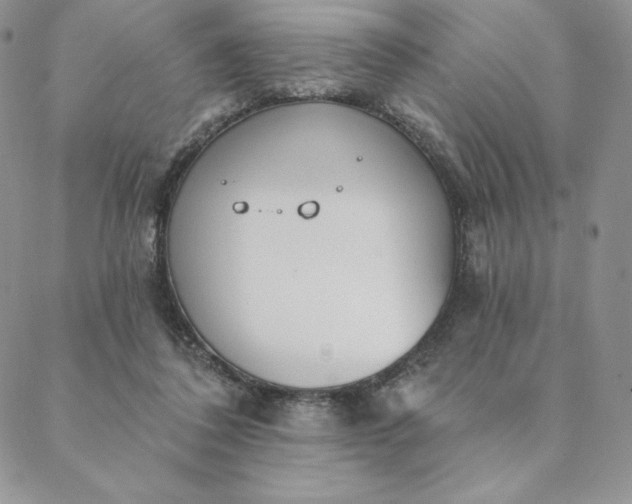 X0000088610308200706081441