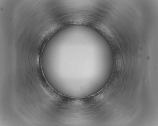 X0000088610310200706081441