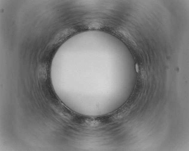 X0000088610311200706081441