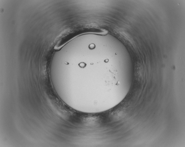 X0000088610312200706081441