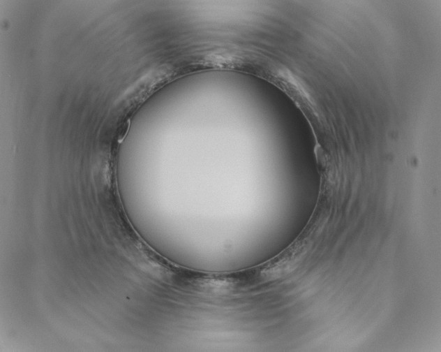 X0000088610313200706081441