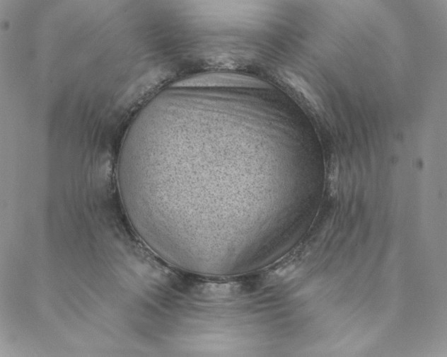 X0000088610314200706081441