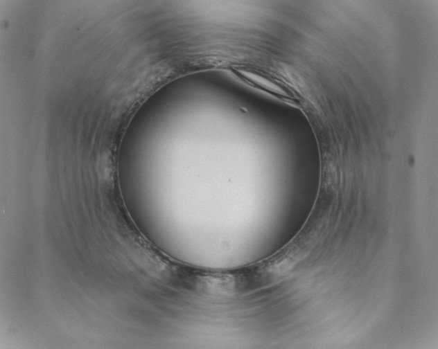 X0000088610317200706081441