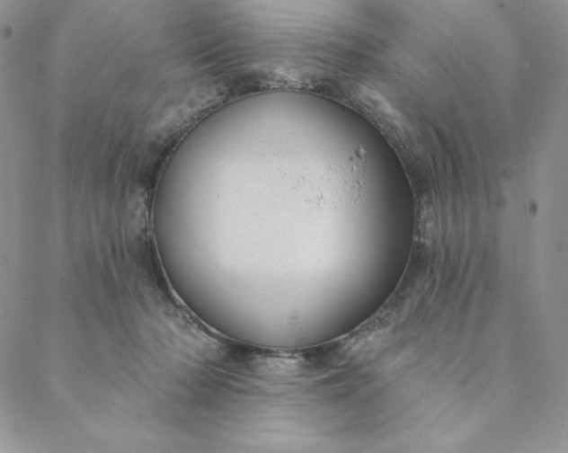 X0000088610318200706081441