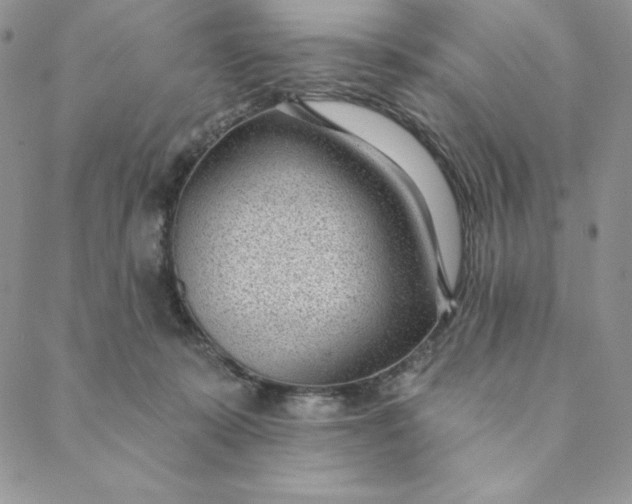 X0000088610319200706081440