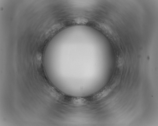 X0000088610321200706081440