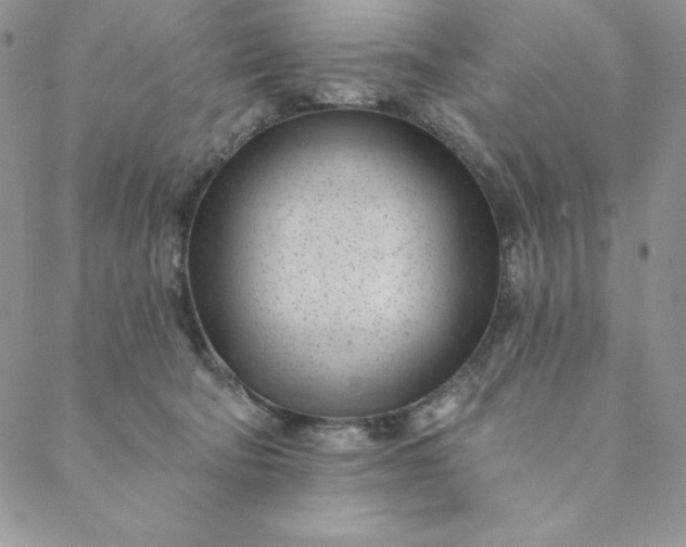 X0000088610322200706081440