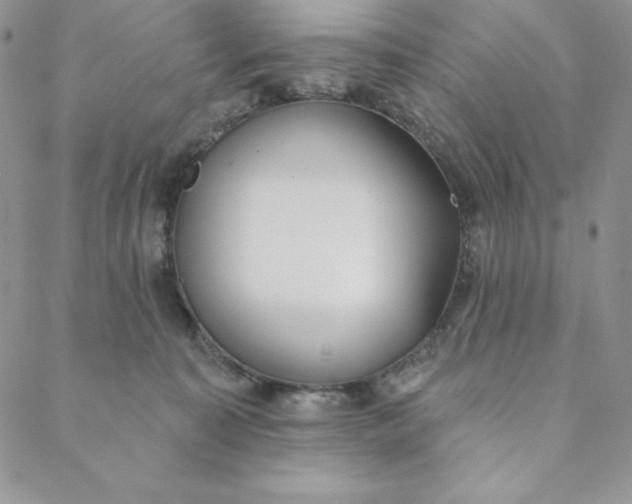 X0000088610323200706081440