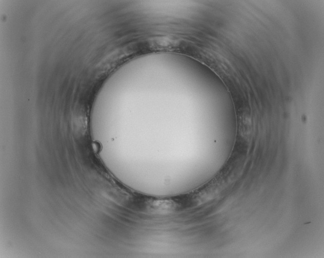 X0000088610324200706081440