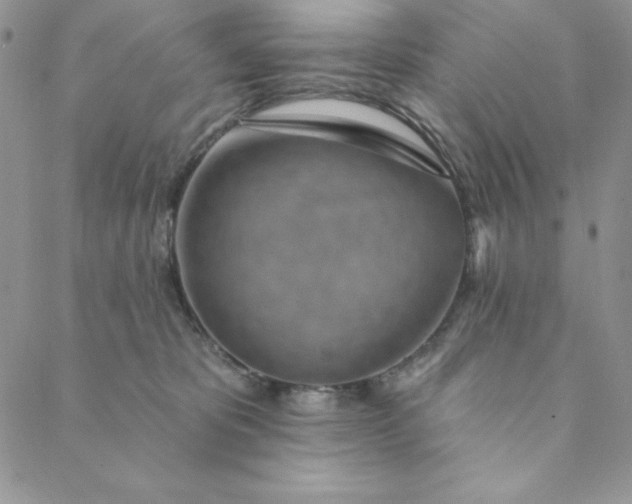 X0000088610325200706081440