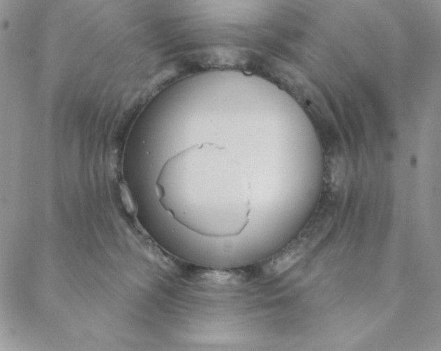 X0000088610326200706081440