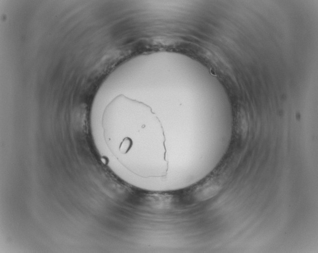 X0000088610328200706081440