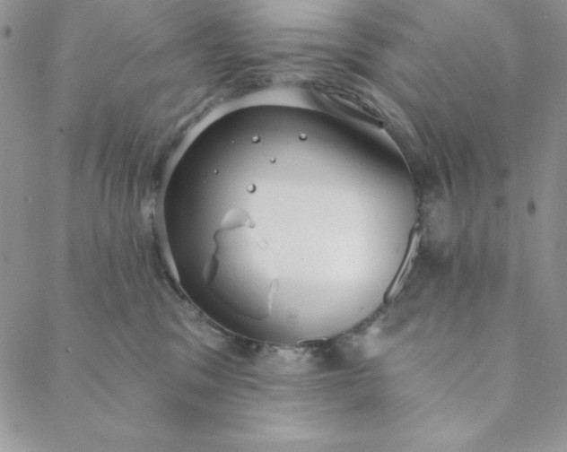 X0000088610329200706081440