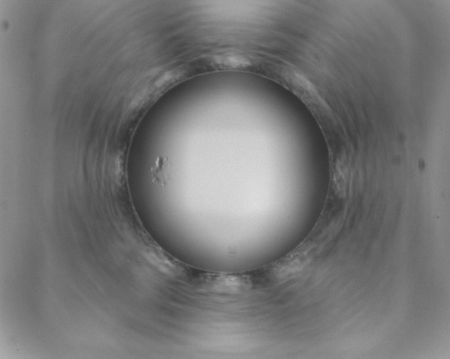 X0000088610330200706081440