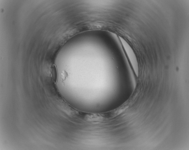 X0000088610331200706081440