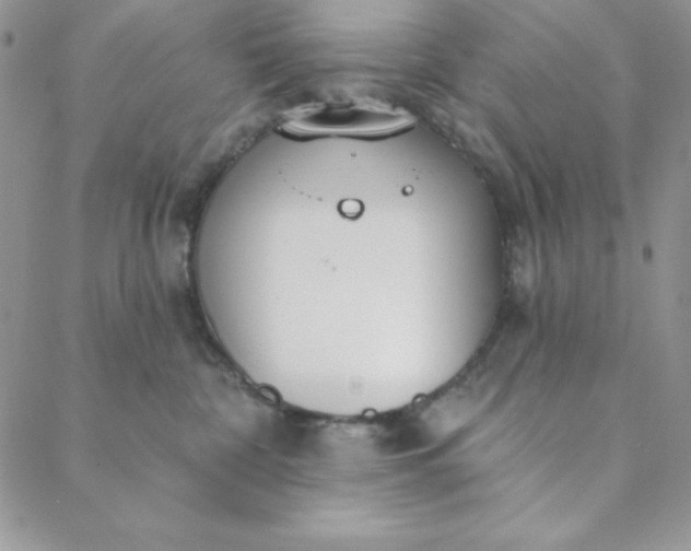 X0000088610332200706081440