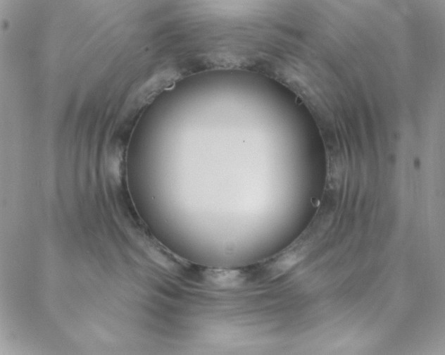 X0000088610334200706081440