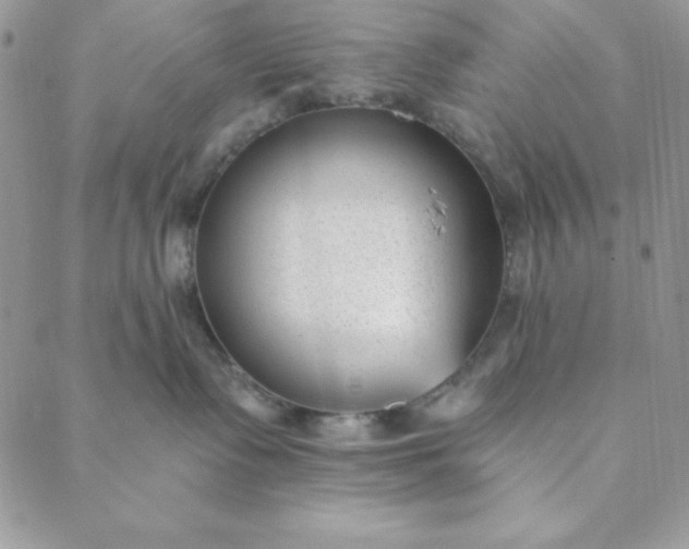 X0000088610335200706081440